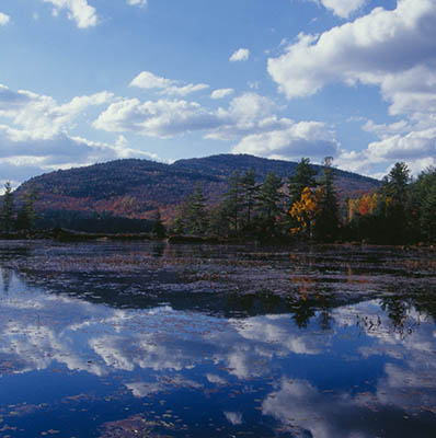 Celebrating the 125th Birthday of the Adirondack Park: The Park Grows Up!